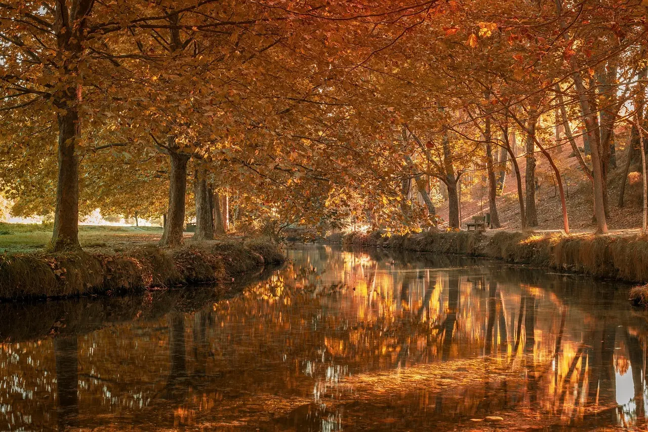 9 øvelser mod mødrehånd og karpaltunnelsyndrom