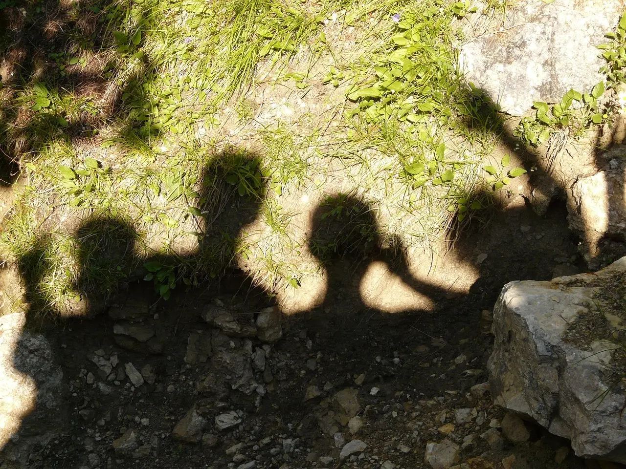 Hvor gammel er Ole Henriksen? Hemmeligheden bag hans evige glød