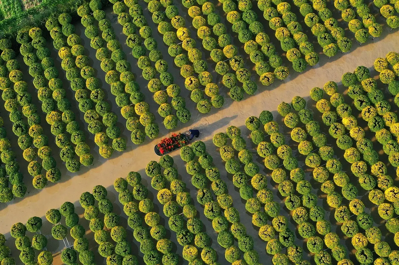 Medvirkende i Rogue Heroes